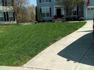 Brittany O.'s Grass Cutting service result