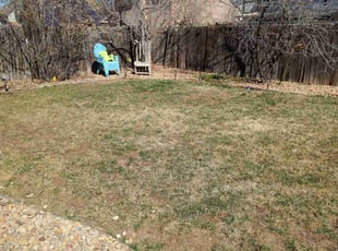 Leaf Removal by Johnny Hines for Joyce S. in Aurora, CO