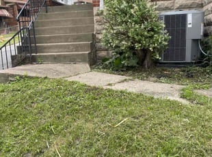 Bush Trimming by Justin Castilyn for Chris P. in Pittsburgh, PA