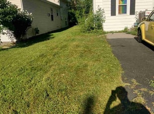 Thomas F.'s Lawn Mowing service result