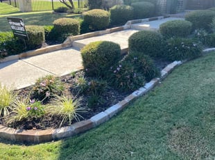 Weeding by Nelson Rhoades for Penelope B. in Southlake, TX