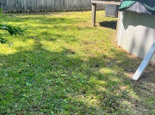 Leaf Removal by Cari Shorb for Stanley C. in Virginia Beach, VA