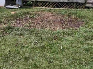 Cleanups by Philip Shoop for Kyndall H. in York, PA