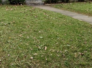 Cleanups by Chris Slone for Kenya M. in Louisville, KY
