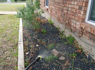 Tareq W.'s Flower Bed Weeding service result