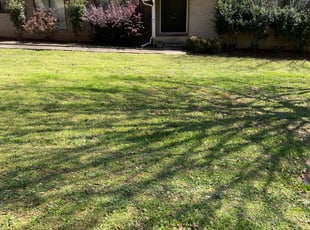 Leaf Removal by William Perry for Matthew H. in Marietta, GA