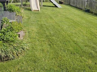 Deborah S.'s Lawn Service service result