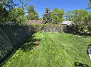 Ruben S.'s Lawn Mowing Service service result