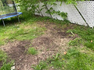 Leaf Removal by My'Kar Groves Jr for Michelle M. in Saint Paul, MN