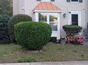 Bush Trimming by Manny Chavez for Dwight B. in Dumfries, VA