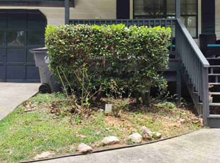 Bush Trimming by Willie Cade for Zach S. in Lawrenceville, GA