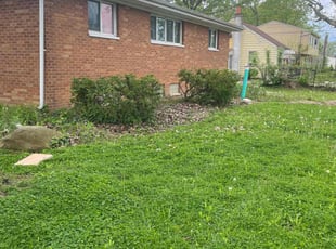 Bush Trimming by Matthew Petrucci for Patricia T. in Lorain, OH