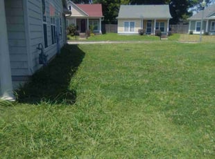 Cleanups by Rodney Shenks for Paris J. in Memphis, TN