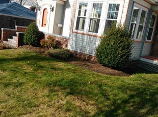 Cleanups by David Cardillo for Dan F. in Providence, RI