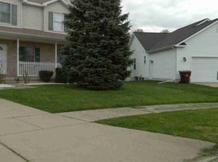 Dawn C.'s Grass Cutting service result