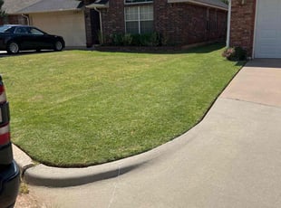 Grace H.'s Grass Cutting service result
