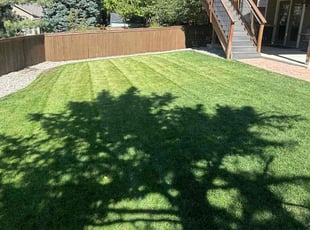 KRIS M.'s Lawn Mowing service result