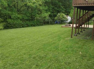 Osmond B.'s Lawn Maintenance service result