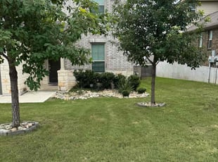 Bush Trimming by Preston McNeely for Johnny S. in San Antonio, TX