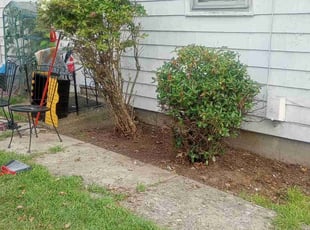 Weeding by Tammy Sarandrea for Victoria V. in Providence, RI