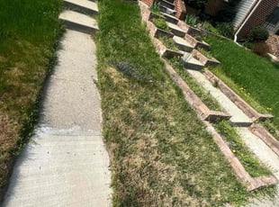 Leaf Removal by Caree Keith for Alyssa W. in Clinton, MD