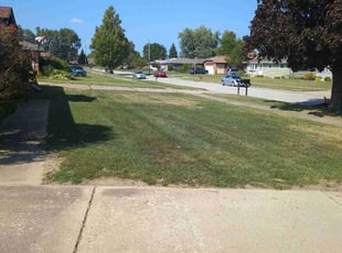 Vaskar M.'s Lawn Service service result