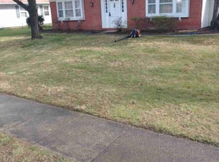 Cleanups by Jim Crossett for Verlincia A. in Fairfax, VA