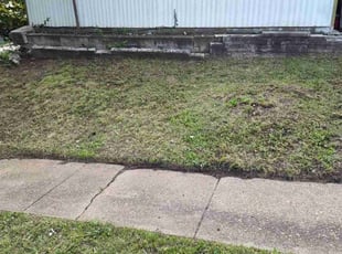 Cleanups by Chris Fox for Goldie w. in Fenton, MO