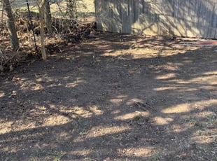 Leaf Removal by Angel Madera for Mich R. in Manchester, CT