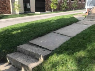 Tabitha A.'s Lawn Service service result