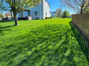 Alita T.'s Lawn Care service result