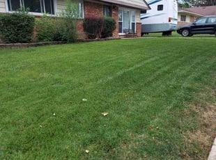 Scarlene A.'s Lawn Mowing Service service result
