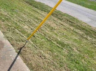 Leaf Removal by Kevin Anderson for Alfredo R. in Mesquite, TX