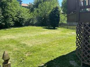 Arnita S.'s Lawn Service service result