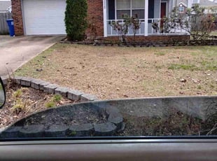 Bush Trimming by Matthew Kerley for Gary S. in Chattanooga, TN