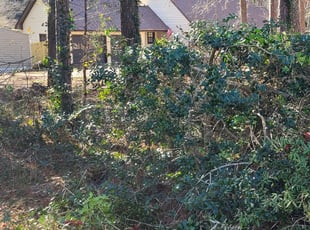 Bush Trimming by Willie P for Sue B. in Conyers, GA