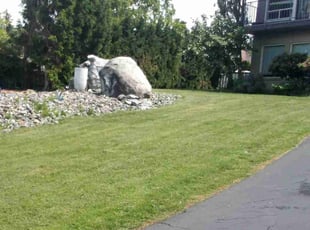 Weeding by Kevin Arndt for Leslie A. in Bellingham, WA