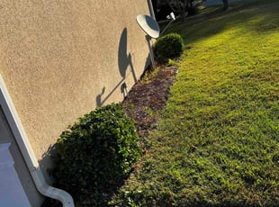 Bush Trimming by Caleb Bradley for Dawn T. in Wichita, KS