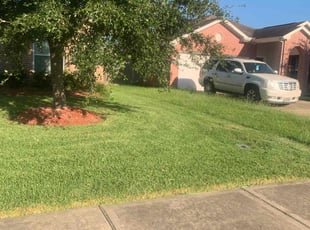 Susie P.'s Lawn Mowing service result
