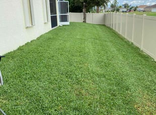 Saben H.'s Lawn Care service result
