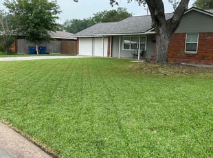 Francisca M.'s Lawn Maintenance service result