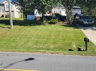 WILLIAM G.'s Lawn Mowing service result