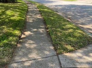 Abigail D.'s Lawn Care service result