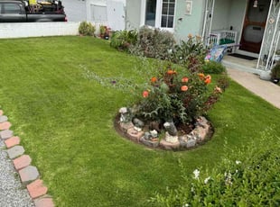 Jason T.'s Grass Cutting service result