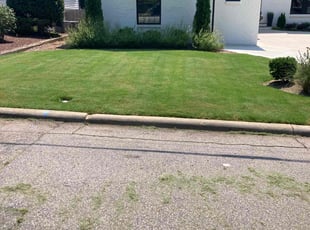 Vamsikrishna K.'s Lawn Care service result
