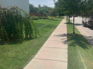 Jerry H.'s Lawn Mowing Service service result