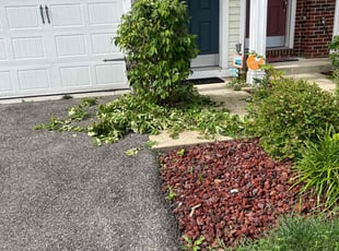 Bush Trimming by Caree Keith for Shelia F. in Waldorf, MD