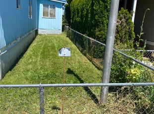 Ashley W.'s Lawn Mowing service result