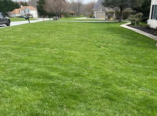 Purvis E.'s Lawn Mowing Service service result