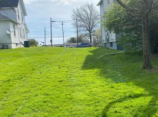 Cedrick h.'s Lawn Mowing service result